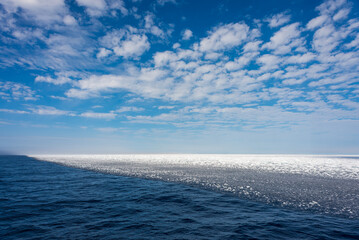 Naklejka na ściany i meble Arctic landscape - sea surface with ice floe