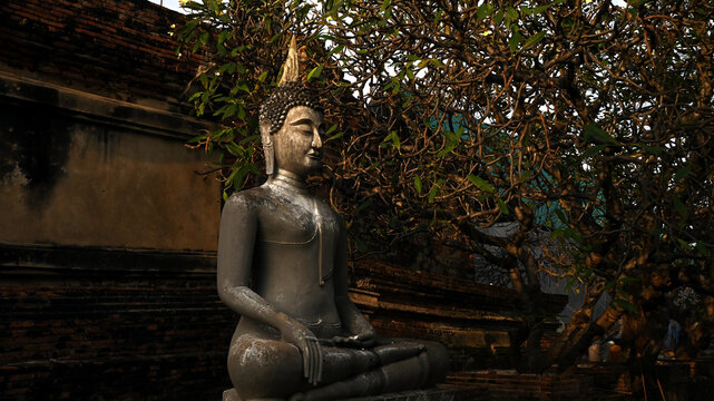 An old Buddha image is enshrined under a tree, at Wat Yai Chaimongkol Ayutthaya, Thailand, October 14, 2022, Thailand temple, Buddha image in thailand temple.