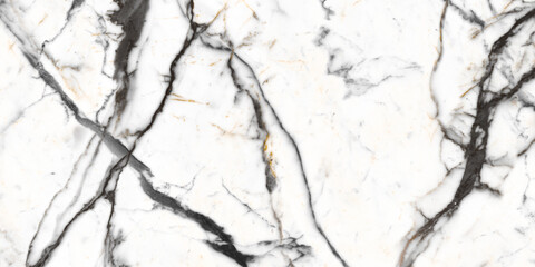White Crystal satvario marble texture background with black-gold curly vines. carrara glossy marble...