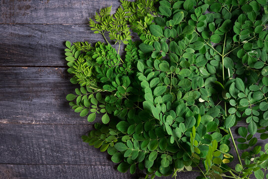 Moringa herb leaves on dark wood background