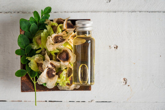 Moringa Oil and seeds, The seeds of the Moringa tree are pressed oil known as Ben Oil yellow