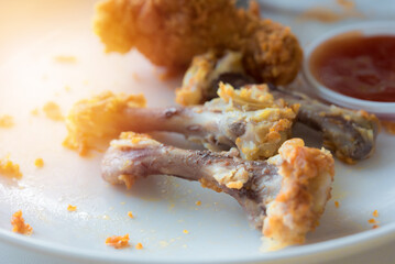 Chicken bones in the white dish