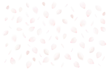Fotobehang 桜吹雪_サクラの花びら_舞い散る桜の花弁のイメージ｜背景透過切り抜き合成用png素材 © hearty