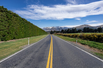 Landscape of Canterbury, South Island New Zealand, taken on the Inland Scenic Route 72, with wild bushes and snow-covered Alps in the background.