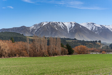 Naklejka premium Landscape of Canterbury, South Island New Zealand, taken on the Inland Scenic Route 72, with wild bushes and snow-covered Alps in the background.