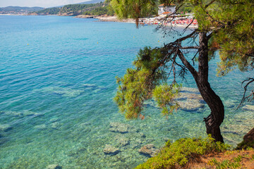 Panoramic viewpoint of summer natural landscape, the seascape turquoise color, and the beautiful and clean Aegean sea. Pine trees surround coast. Holiday travel concept. Rocky shoreline.