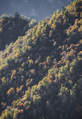 Fototapeta na wymiar Mountain hills and rocks overgrown with autumn trees of warm shades, in the Caucasus in the early autumn morning