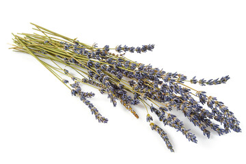 dried lavender isolated on white background