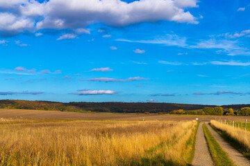 Fototapeta na wymiar Dirt road in autumn with blue sky