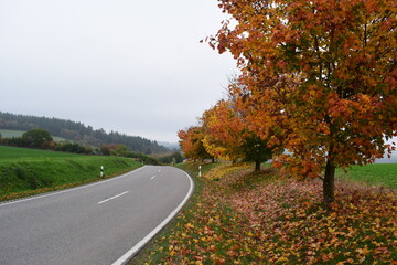 kurvige Strasse durch das Elztal in der Eifel, Herbst