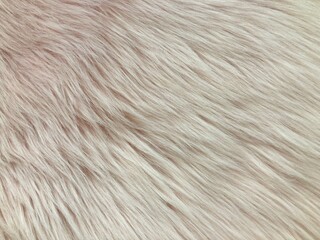 wool rug for texture background