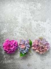 Hydrangea flowers on a stone surface. Selective focus with blurred background with copy space. Top view.