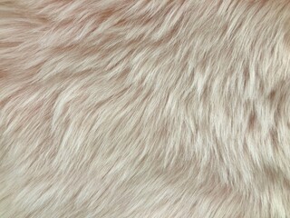 wool rug for texture background