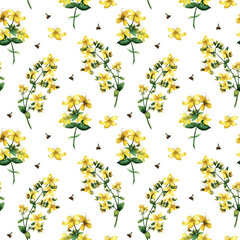 Watercolor seamless pattern with flowers and bumblebees. Bright yellow flowers of St. John's wort. Pattern of wildflowers and insects.