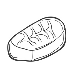 Chocolate graphic sketch of chocolate candy isolated illustration vector