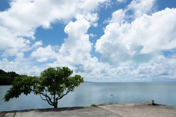 Fototapeta na wymiar blue sky and dinamic shape of clouds on the blue sea, the photo was shot in the north part of Babeldaob island in Palau