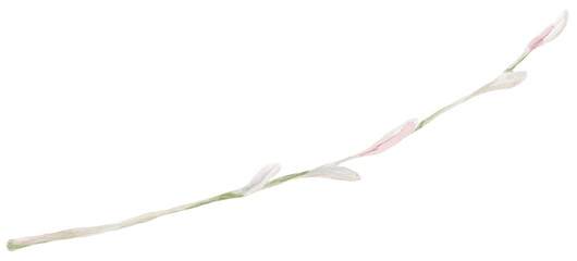 Fototapeta premium Watercolor autumn branch.