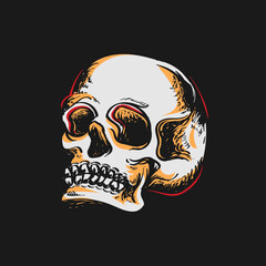 Human skull or skeleton vector illustration, head bones