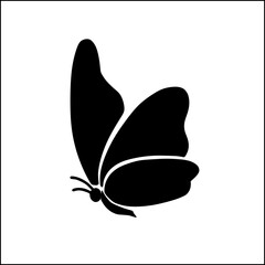 butterfly creation with black color