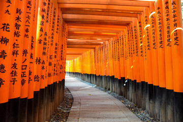 torii gates
