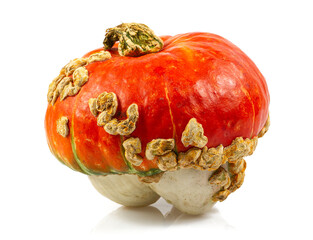 Decorative pumpkins isolated on white background. Variety of edible and decorative gourds and...