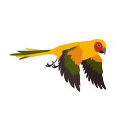 Colorful exotic ara with spread wings vector illustration. Bird flapping wings, flight movements. Colorful ara flying in sky isolated on white background. Animal, motion concept