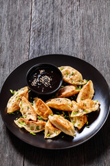 gyoza, wonton wrappers stuffed with pork, cabbage