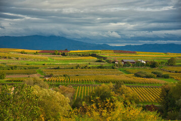 Fototapeta premium Herbst im Kaiserstuhl bei Endingen