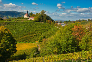 Obraz premium Herbstliche Weinberge in Gengenbach im Schwarzwald
