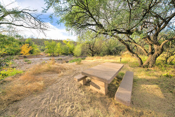 Campgrounds surrounded by trees at Sabino Canyon State Park in Tucson, Arizona