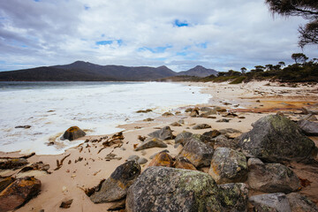 Fototapeta na wymiar Wineglass Bay Beach in Tasmania Australia