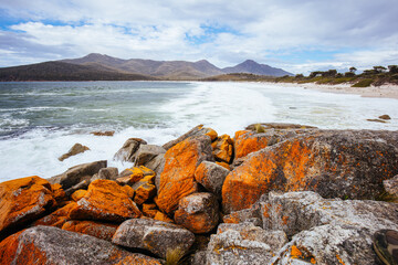 Wineglass Bay Beach in Tasmania Australia