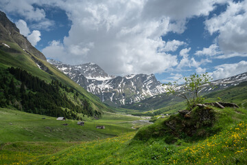 Obraz premium The Safien valley in the Grisons, Switzerland
