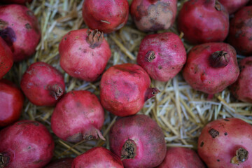 Harvest of ripe pomegranate on dry straw at outdoor farmers market in Tbilisi Georgia. Vegetarian...