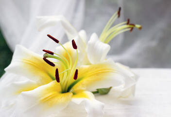 Fototapeta na wymiar Yellow lilies on white wooden table with tulle fabric on the background