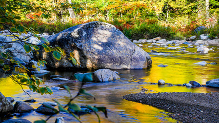 Golden Swift River with morning autumn reflections
