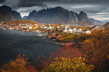 Beautiful and colorful autumn in the Lofoten archipelago in Norway. Breathtaking landscapes show the power of nature.