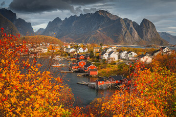 Beautiful and colorful autumn in the Lofoten archipelago in Norway. Breathtaking landscapes show the power of nature.