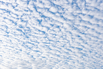 秋のうろこ雲