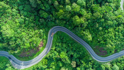 Road through green forest, aerial view road passing through forest in Aceh province, Indonesia