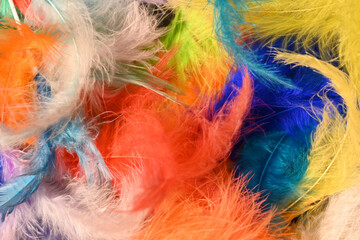 fondo con detalle y textura de multitud de plumas en diferentes colores intensos