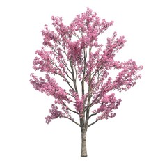 deciduous tree, isolated on white background, 3D illustration, cg render