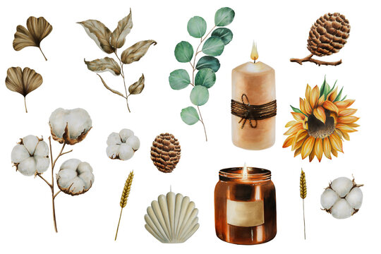 Composition with cotton, leafs, pine cones, eucalyptus and candle