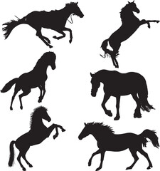 horse silhouettes set . Horse collection - vector silhouette