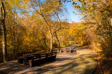 Naklejka premium Alley from the Sovata resort - Romania in autumn