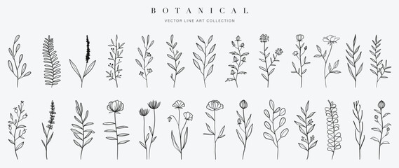 Set botanical hand drawn vector element. Collection of foliage, leaf branch, floral, herbal, wildflowers in line art. Minimal style blossom illustration design for logo, wedding, invitation, decor.