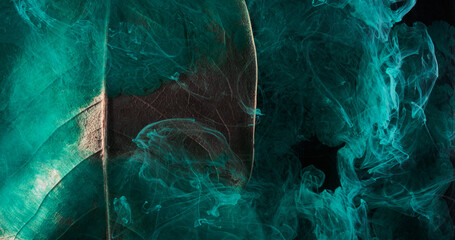 Abstract green background with leaves and paints in water. Backdrop for perfume, cosmetic products