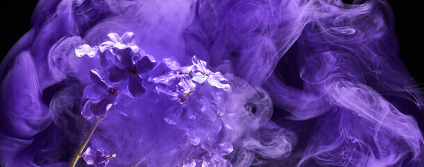 Abstract purple lilac background with flowers and paints in water. Backdrop for perfume, cosmetic...