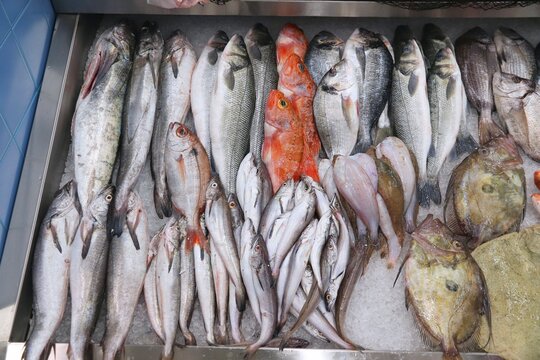 Portugal food - fresh fish