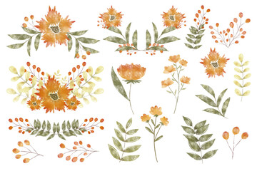Orange watercolor flowers set elements.Botanical collection garden .Decoration illustration for wedding card.